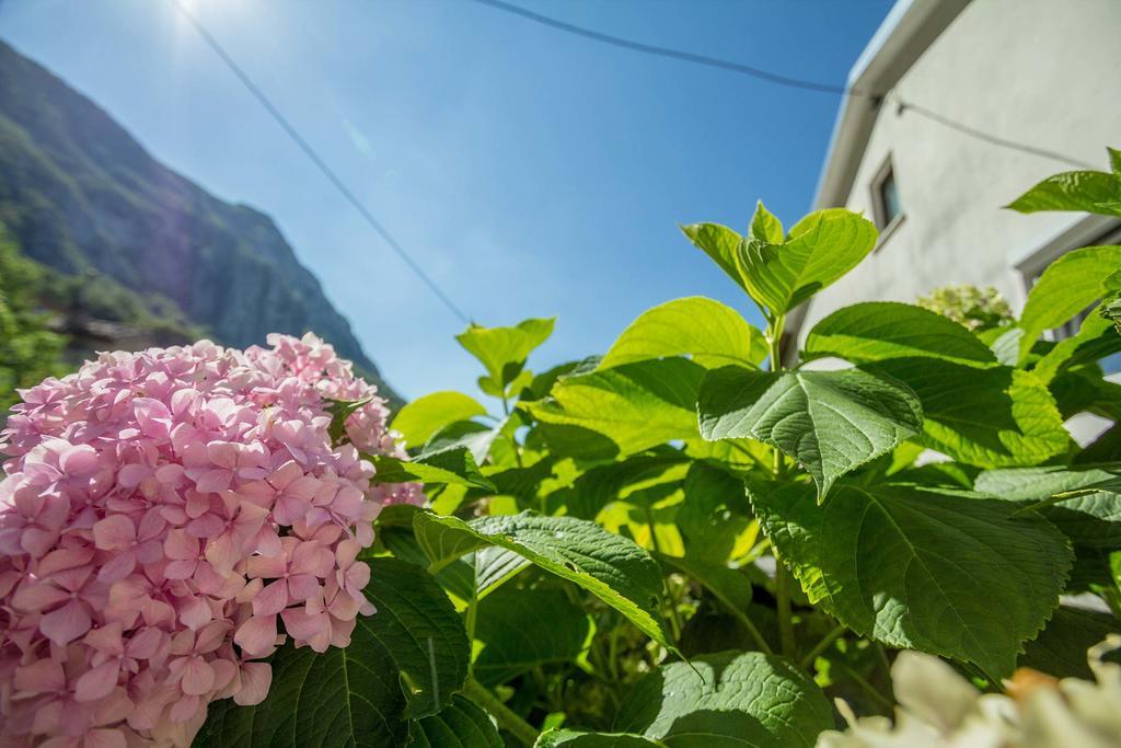 Farm Stay Ferjancic Випава Экстерьер фото
